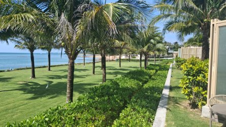 20260220_150809.jpg 20260220_150809.jpg