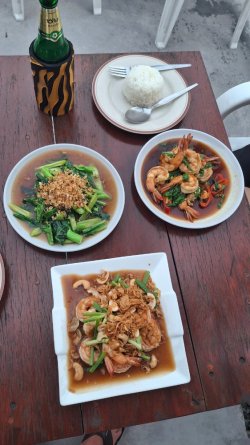 20260224_181728.jpg 20260224_181728.jpg