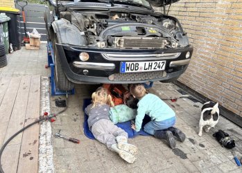 IMG_0239.jpeg IMG_0239.jpeg