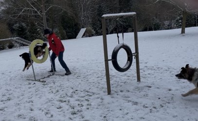 1774906171309.jpeg 1774906171309.jpeg