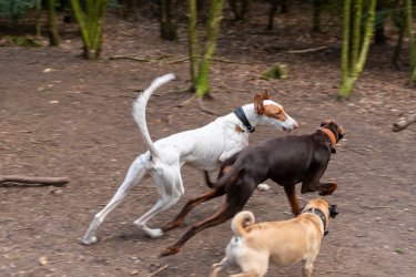 _DSC4769.jpeg _DSC4769.jpeg