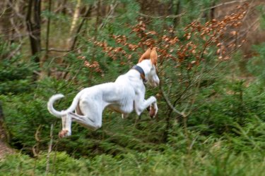 _DSC4804.jpeg _DSC4804.jpeg
