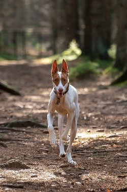_DSC5539.jpeg _DSC5539.jpeg