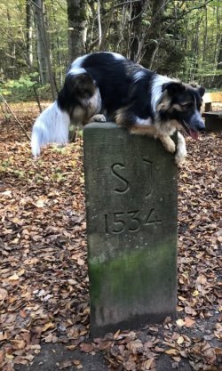 1775396163830.jpeg 1775396163830.jpeg