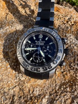 IMG_6122.jpeg IMG_6122.jpeg