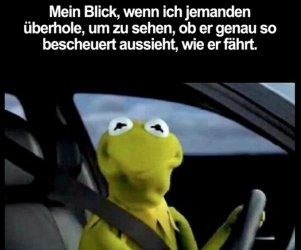so isses.jpg