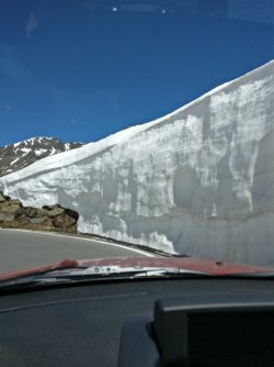 IMG_20170527_115922.jpeg
