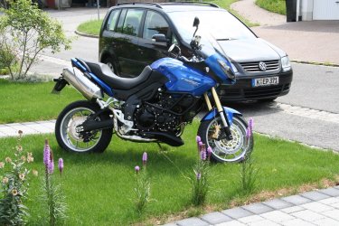 IMG_0177.jpeg