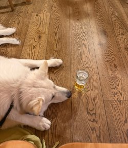 IMG_0021.jpeg