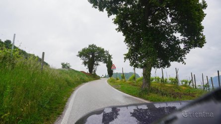 DSC06764.JPG