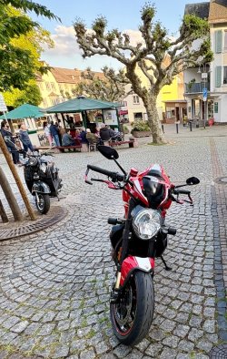 IMG_2915.jpeg