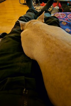 20260430_225713(1).jpg