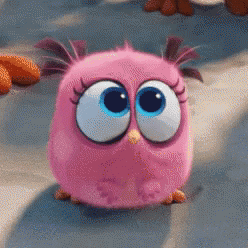 1779542309307.gif