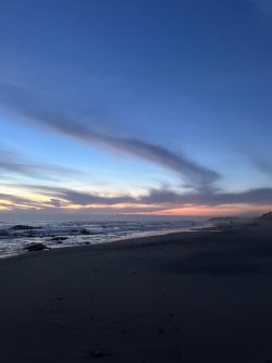 d78e6201-01d5-454e-8494-b3d54bafab83.jpeg