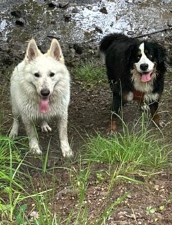 IMG_0091.jpeg