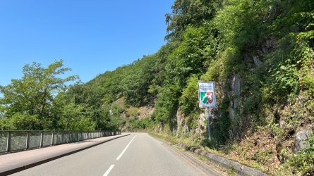 IMG_9387.jpeg