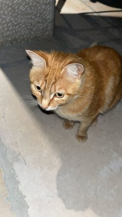 image3.jpeg