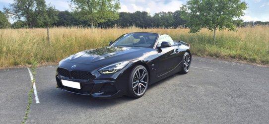 z4_g29b.jpg