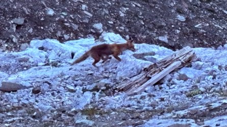 IMG_1772.jpeg
