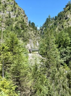 IMG_2489.jpeg