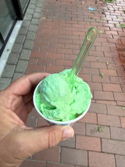 IMG_1296.jpeg