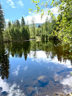 IMG_2550.jpeg