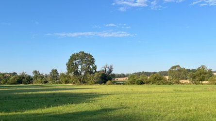 IMG_9817.jpeg