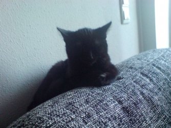 Foto1.JPG