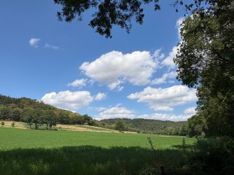IMG_6231.jpeg