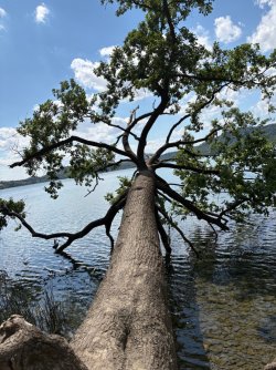 IMG_6235.jpeg