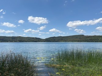 IMG_6238.jpeg