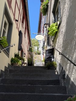 IMG_6242.jpeg