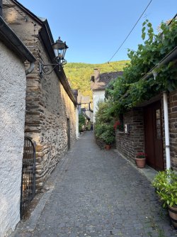 IMG_6246.jpeg