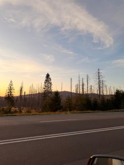 IMG_0532.jpeg