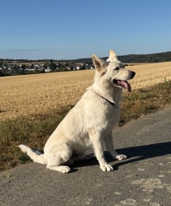 IMG_0687.jpeg