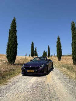 IMG_2229.jpeg