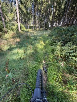 IMG_3794.jpeg