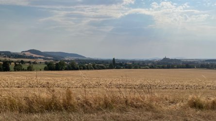 IMG_0211.jpeg
