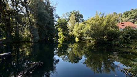 IMG_0938.jpeg