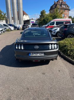 IMG_3811.jpeg
