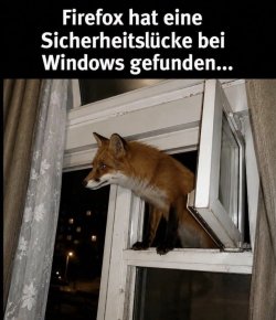IMG_1660.jpeg IMG_1660.jpeg