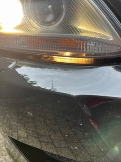 IMG_8485.jpeg