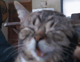 Tw0N.gif Tw0N.gif