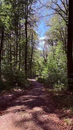 IMG_2206.jpeg