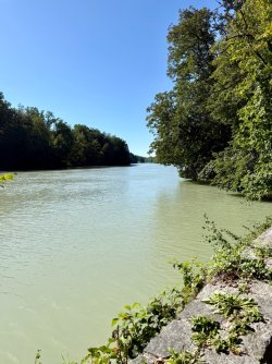 IMG_2886.jpeg