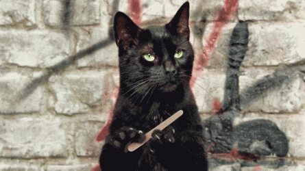 Katze-126533-detail.gif Katze-126533-detail.gif