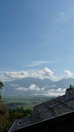 IMG_8186.jpeg