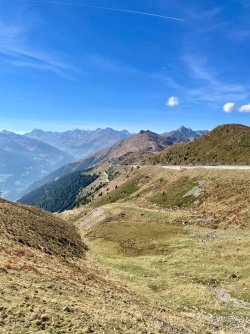 IMG_3739.jpeg