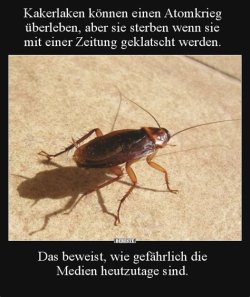 OIP.23deVrP7gd0vC6Pskzsv0gHaIy.jpg