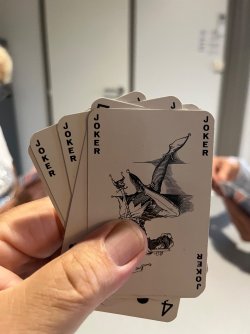 IMG_0473.jpeg